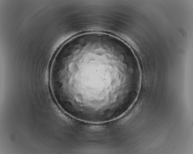 X0000113760839200909231203