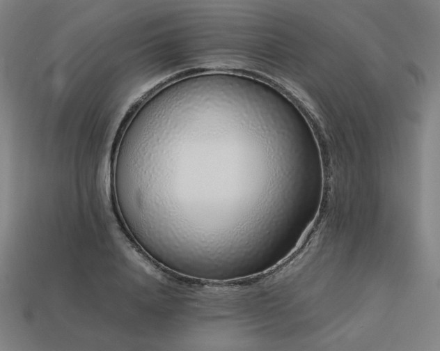 X0000113760840200909231203