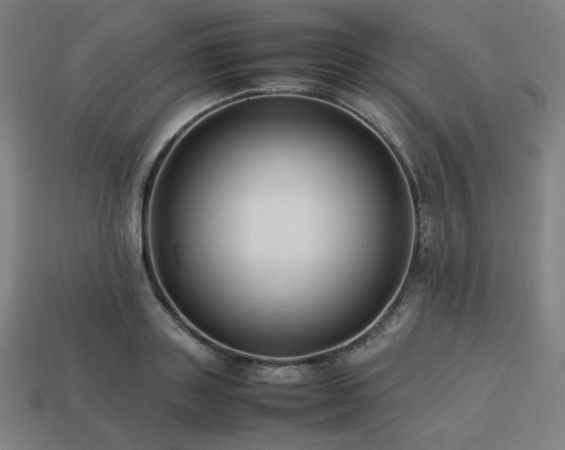 X0000113760843200909231203