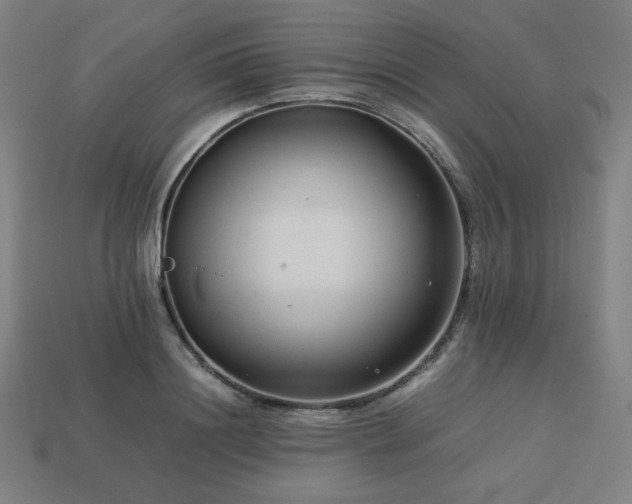 X0000113760844200909231203