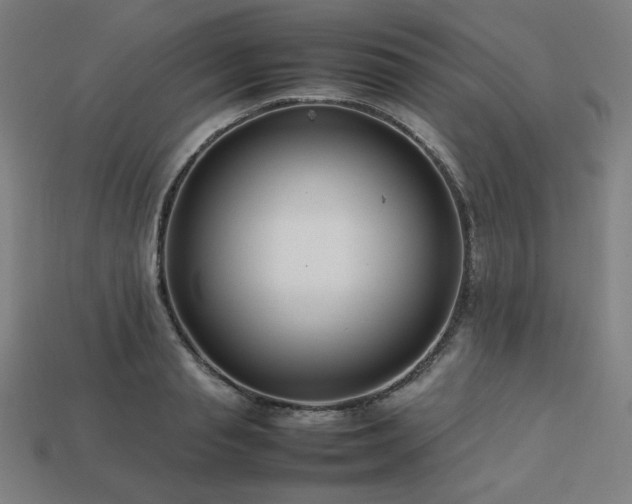X0000113760845200909231203