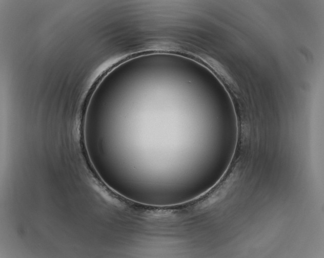 X0000113760846200909231203