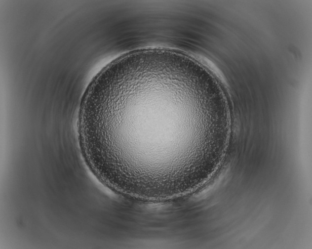 X0000113760847200909231203