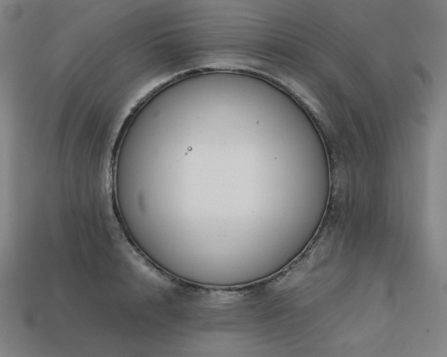 X0000113760848200909231203