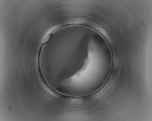 X0000113760850200909231203