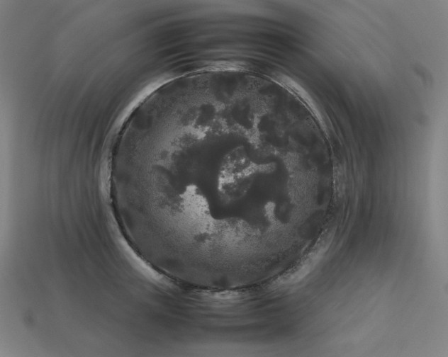 X0000113760851200909231203