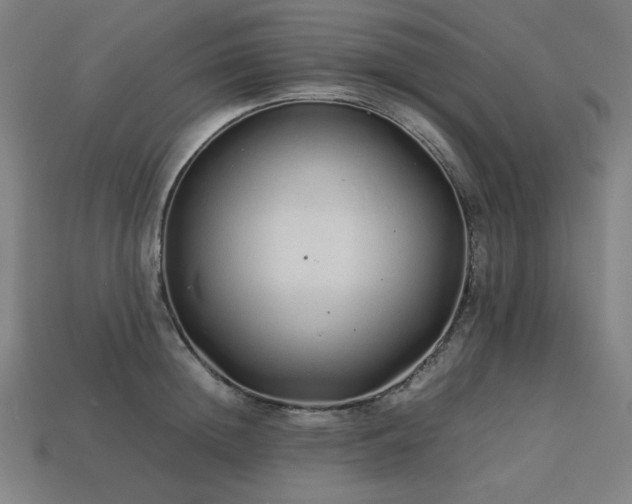 X0000113760852200909231203