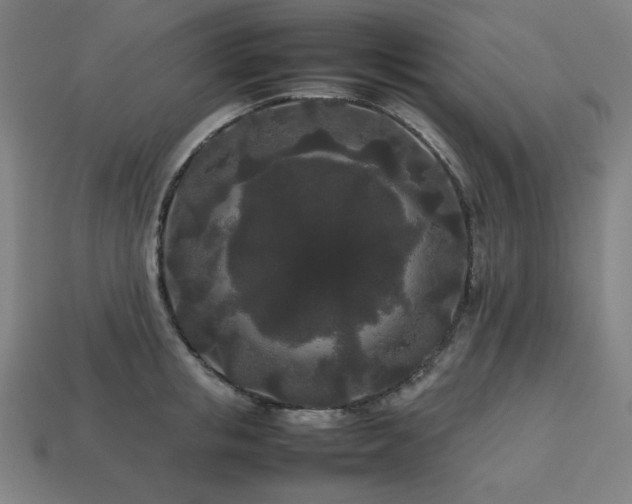 X0000113760853200909231203