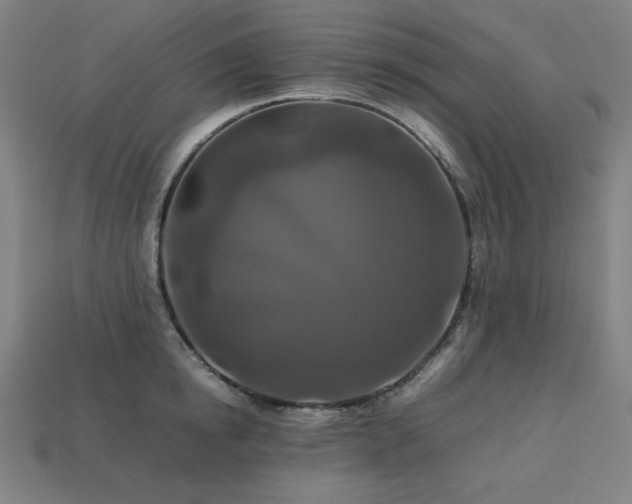 X0000113760854200909231203