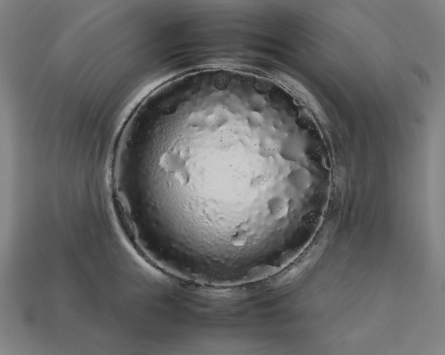 X0000113760855200909231203