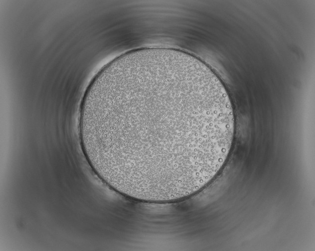X0000113760856200909231203