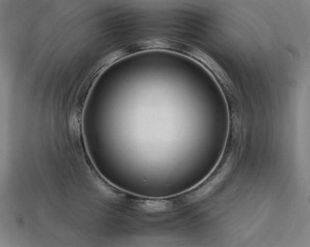 X0000113760857200909231203