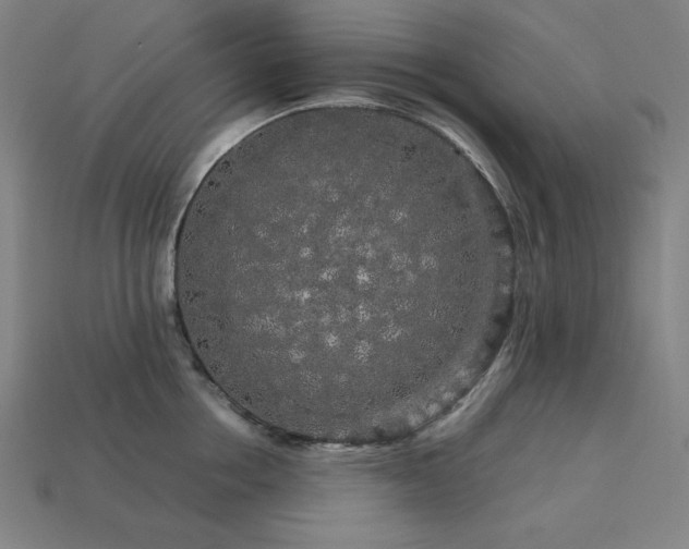 X0000113760858200909231203