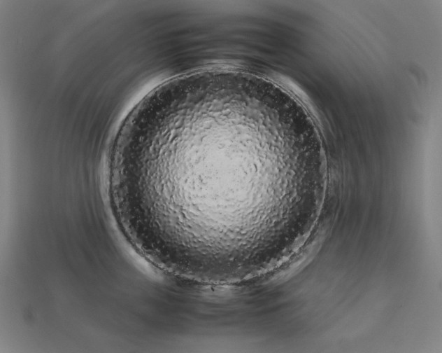 X0000113760859200909231203