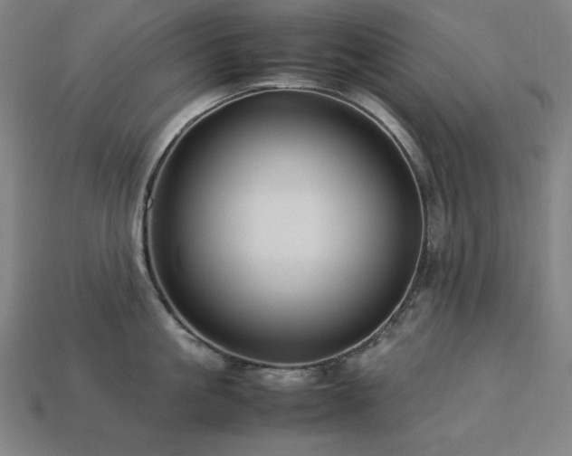 X0000113760861200909231203