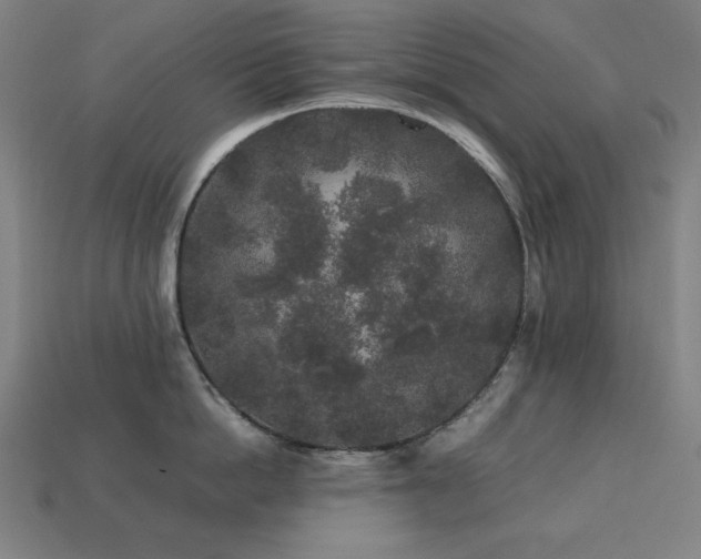 X0000113760862200909231203