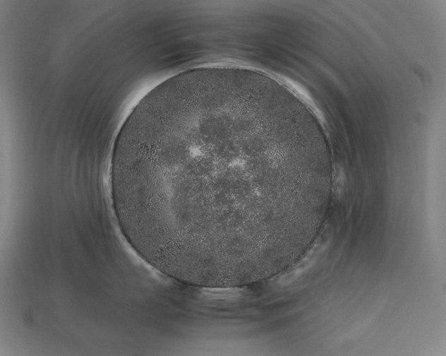 X0000113760863200909231203