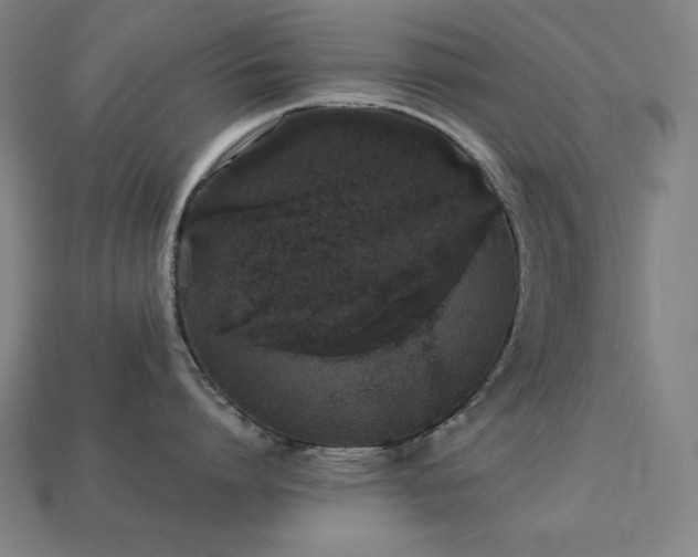 X0000113760864200909231204