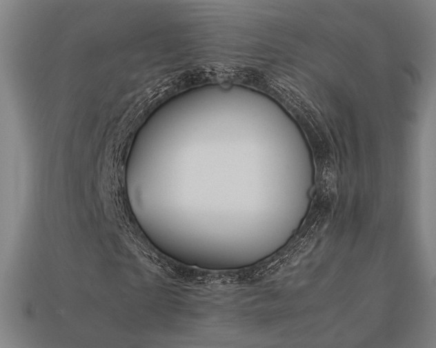 X0000113760865200909231203