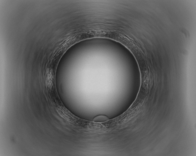 X0000113760866200909231203