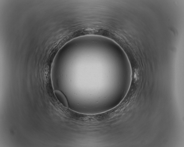 X0000113760867200909231203