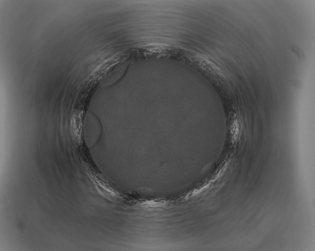 X0000113760868200909231203