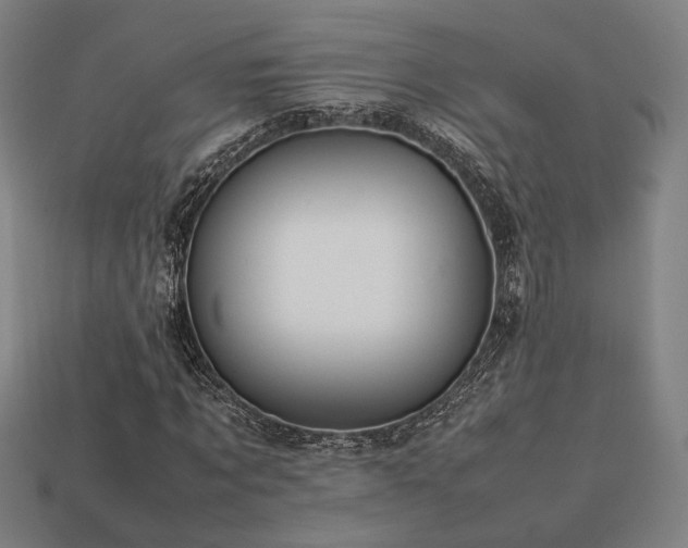 X0000113760869200909231203