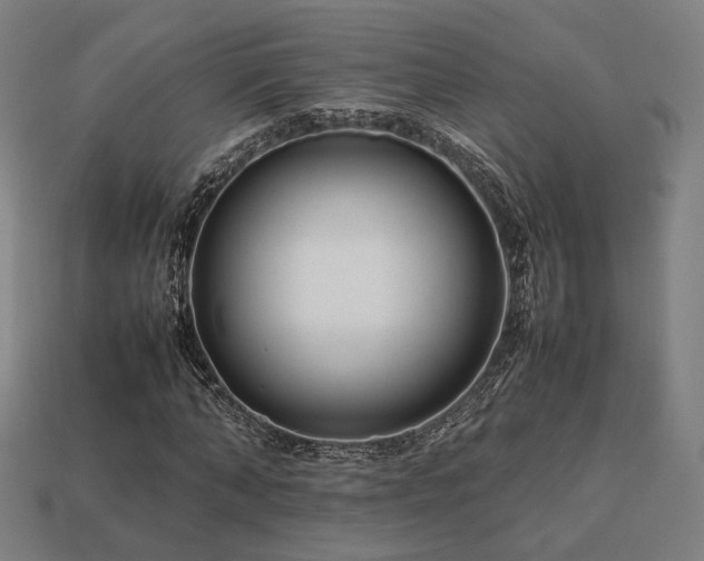 X0000113760870200909231203