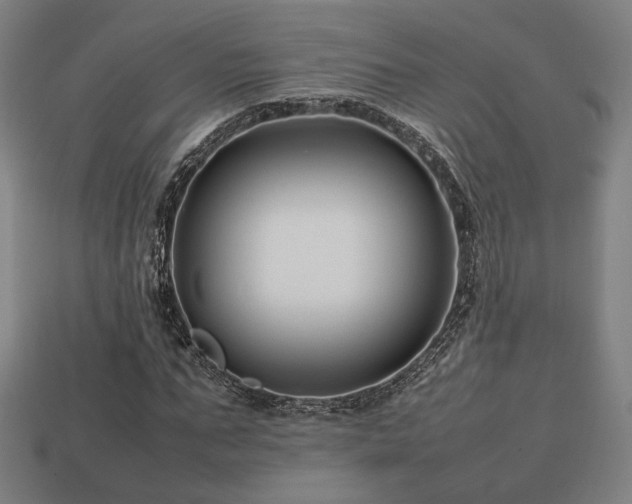 X0000113760871200909231203