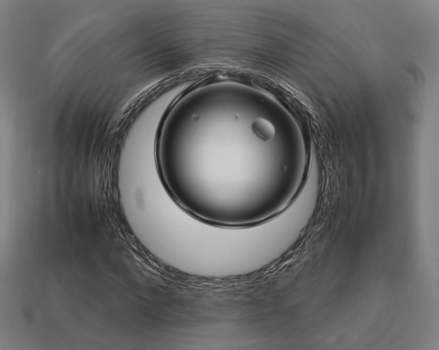X0000113760872200909231203