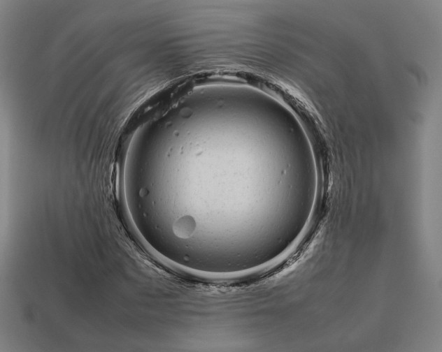 X0000113760873200909231203