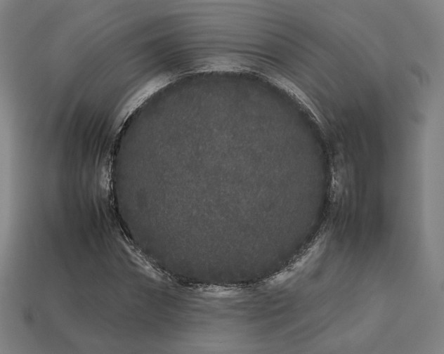 X0000113760874200909231203