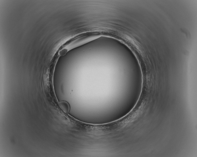 X0000113760875200909231203