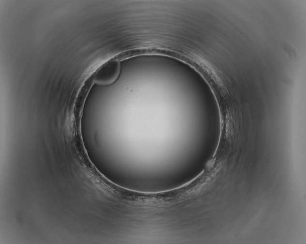 X0000113760876200909231203