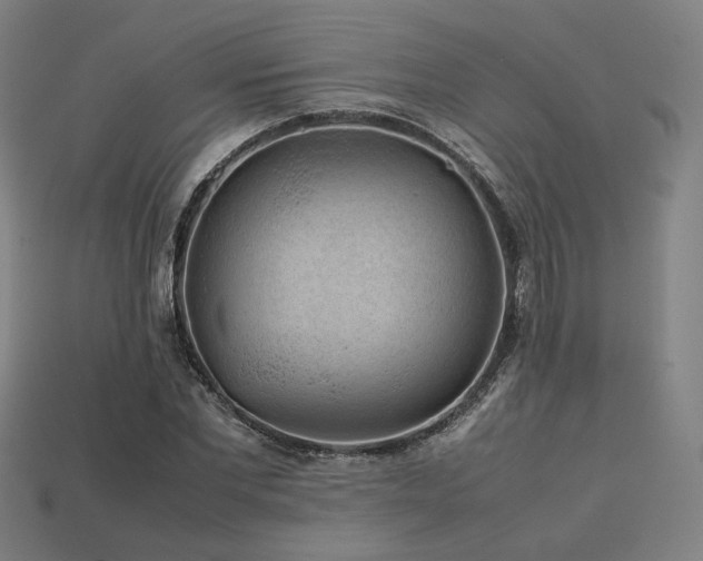 X0000113760877200909231203