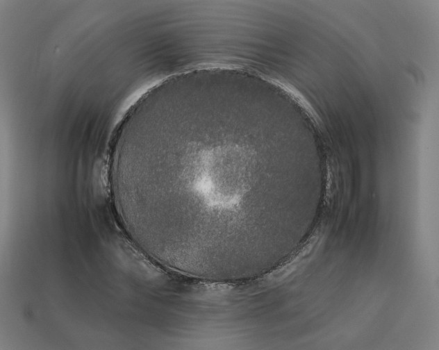 X0000113760878200909231203