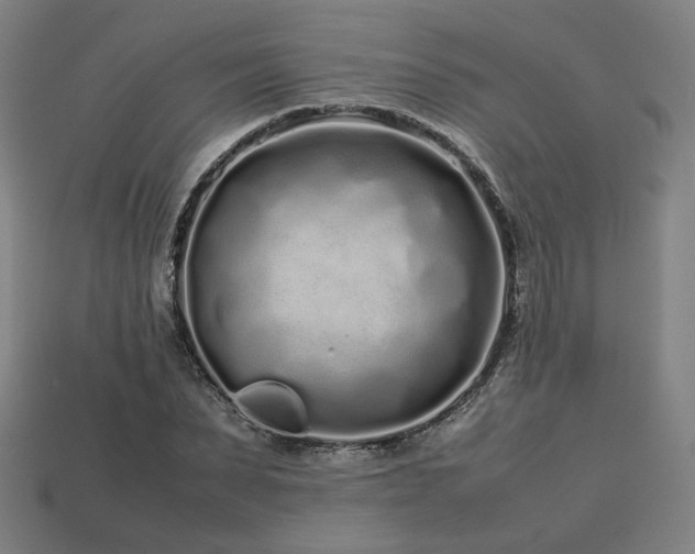 X0000113760879200909231203