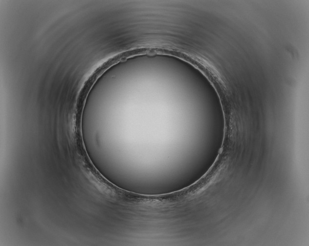 X0000113760880200909231203