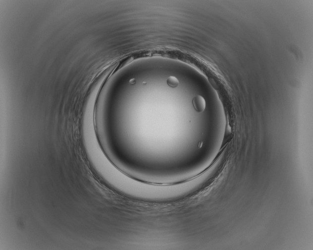 X0000113760881200909231203