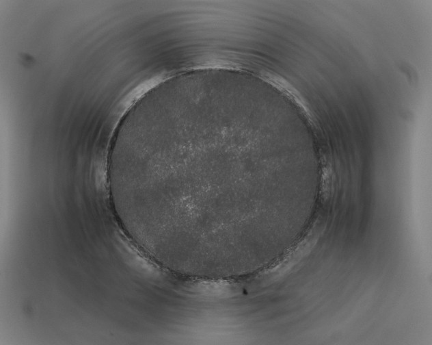 X0000113760882200909231203