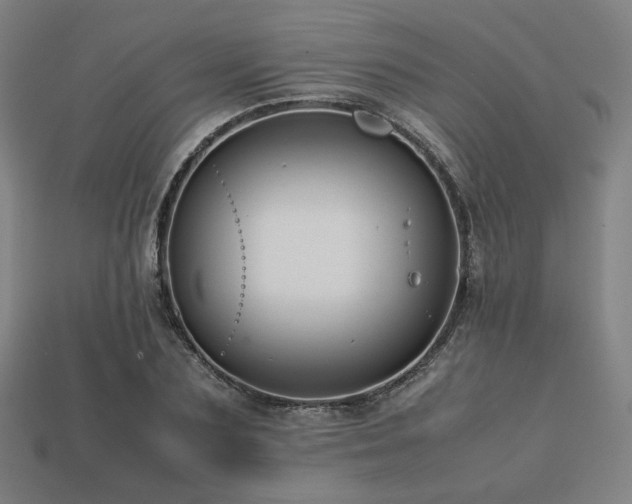 X0000113760883200909231203