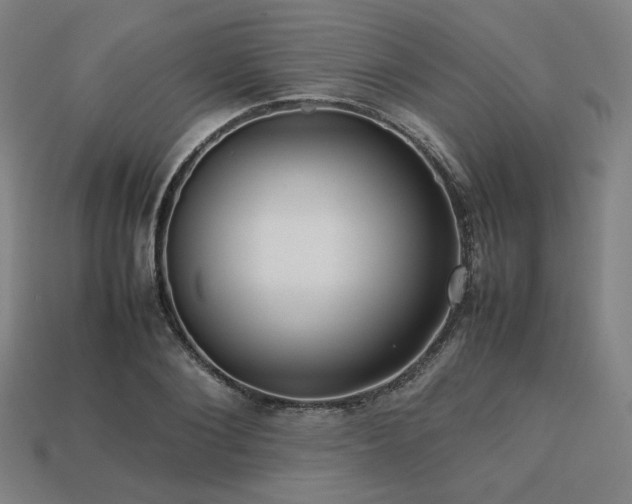 X0000113760884200909231202
