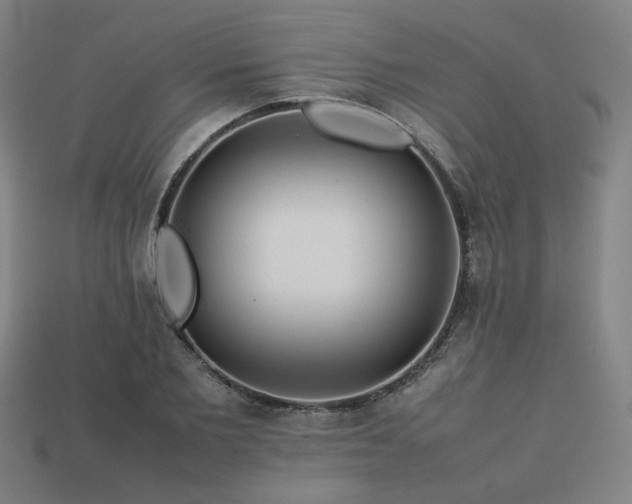 X0000113760885200909231202