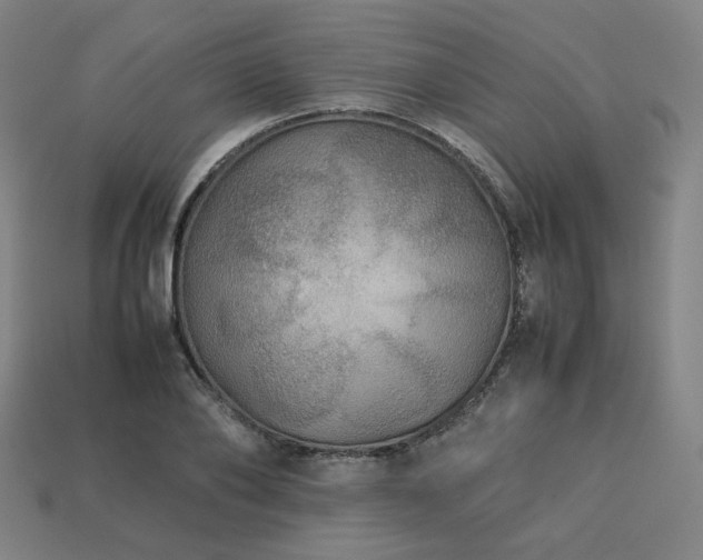 X0000113760886200909231202