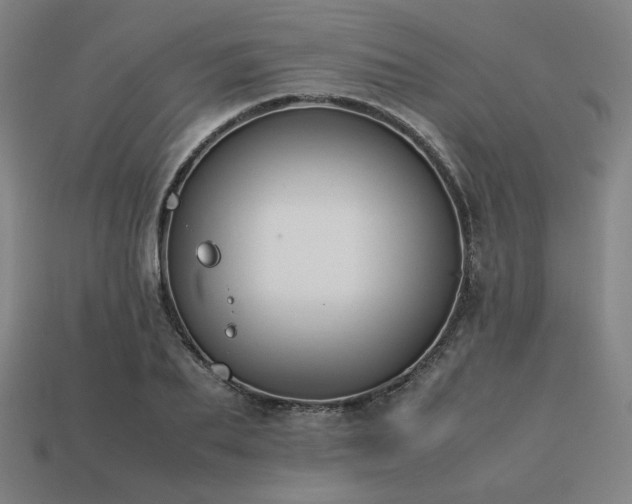 X0000113760887200909231202