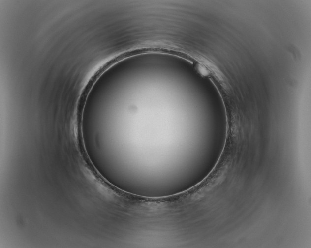 X0000113760888200909231202