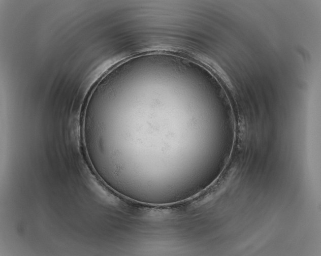 X0000113760890200909231202