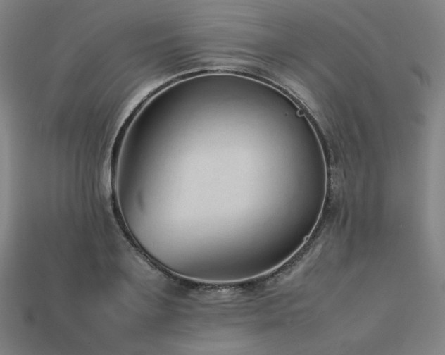 X0000113760891200909231202