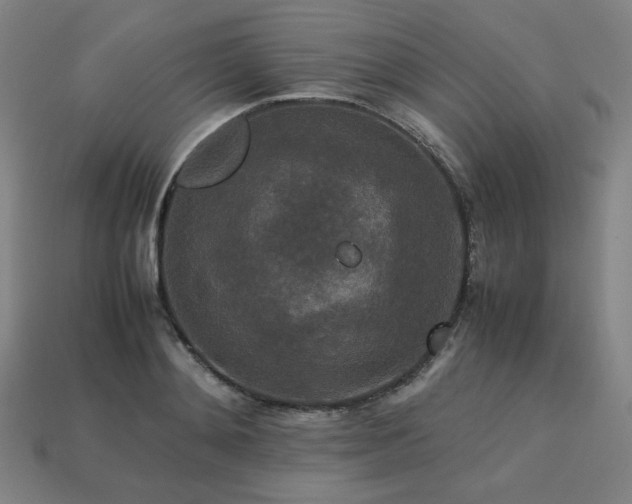 X0000113760892200909231202