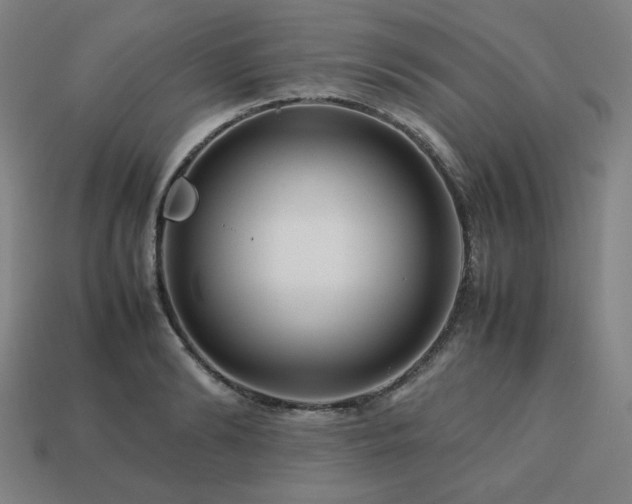 X0000113760894200909231202